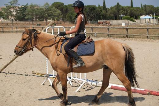 Cavalier dans la carrière extérieure du centre équestre
